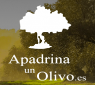ONG ASOCIACIÓN SIN ÁNIMO DE LUCRO